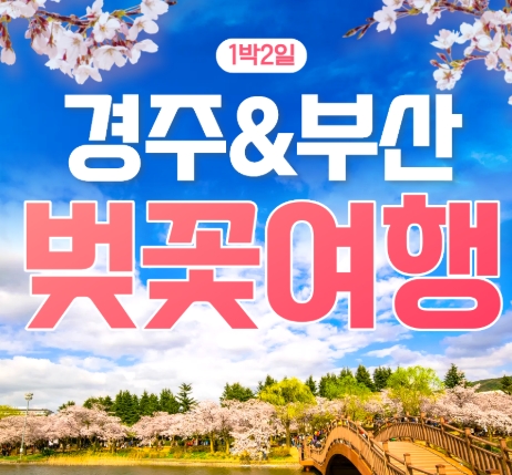 [KTX/봄꽃] 부산 (용궁사/해운대/자갈치시장) & 경주 벚꽃 (황리단길/동궁과월지/보문단지) 1박2일 기차여행