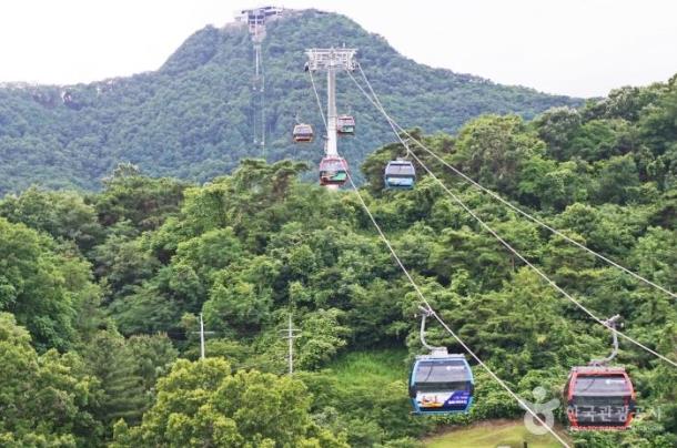 [KTX+제천관광택시①] 의림지+청풍호반케이블카+힐링족욕체험