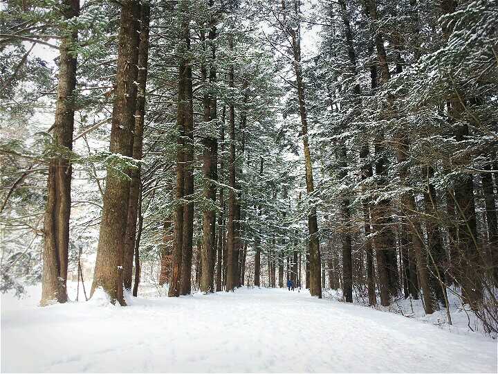 ▶정선1박2일◀[KTX]동해바다*정선 가리왕산케이블카&레일바이크*옥산장 1박2일 ★2012~2022 우수여행상품선정★