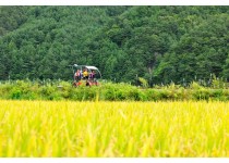 ▶정선1박2일◀[KTX]동해바다*정선 가리왕산케이블카&레일바이크*옥산장 1박2일 ★2012~2022 우수여행상품선정★