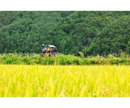 ▶정선1박2일◀[KTX]동해바다*정선 가리왕산케이블카&레일바이크*옥산장 1박2일 ★2012~2022 우수여행상품선정★