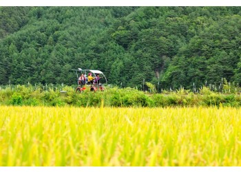 ▶정선1박2일◀[KTX]동해바다*정선 가리왕산케이블카&레일바이크*옥산장 1박2일 ★2012~2022 우수여행상품선정★