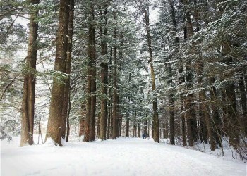 ▶정선1박2일◀[KTX]동해바다*정선 가리왕산케이블카&레일바이크*옥산장 1박2일 ★2012~2022 우수여행상품선정★