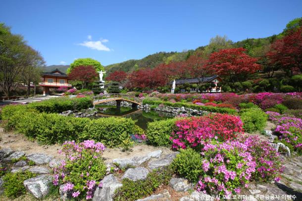 ♥봄꽃♥[무궁화-당일]제천 청풍호반 벚꽃길+배론성지+의림지