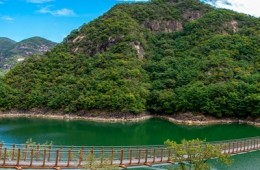 [무궁화-청량리역/양평역]제천시티투어 - 청풍호 유람선 & 케이블카 & 의림지 여행(당일)