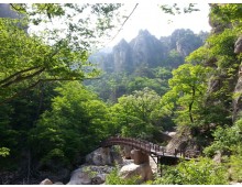 설악산 주전골 트래킹&속초 엑스포타워&외옹치둘레길 @중식제공