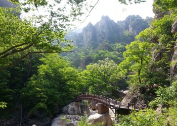 설악산 주전골 트래킹&속초 엑스포타워&외옹치둘레길 @중식제공