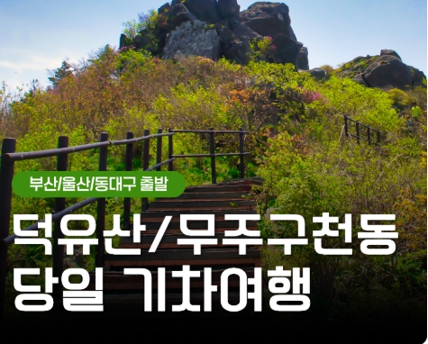 [KTX부산/울산/동대구] 덕유산 곤도라＆무주 구천동 계곡&금산 인삼시장 당일 기차여행
