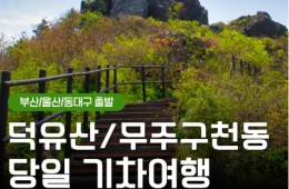[KTX부산/울산/동대구] 덕유산 곤도라＆무주 구천동 계곡&금산 인삼시장 당일 기차여행