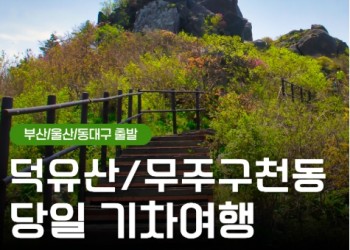 [KTX부산/울산/동대구] 덕유산 곤도라＆무주 구천동 계곡&금산 인삼시장 당일 기차여행