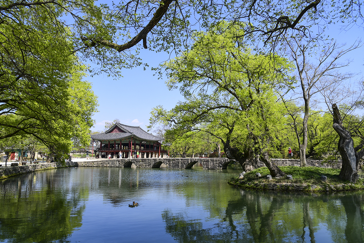 [팔도장터열차] 4월 2일(목) 하동 십리벚꽃길 / 남원 광한루원+김병종 미술관