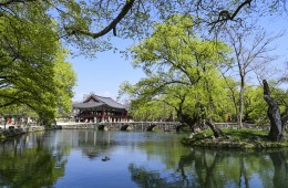 [팔도장터열차] 4월 2일(목) 하동 십리벚꽃길 / 남원 광한루원+김병종 미술관