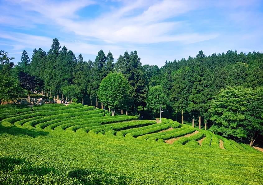 KTX 남도파노라마 1박2일(담양대통밥/목포한정식/법성포굴비정식)