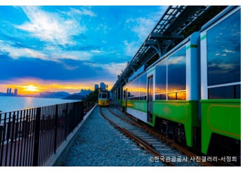 [KTX-당일]부산이 좋은데이③ 해운대해수욕장+해변열차+태종대