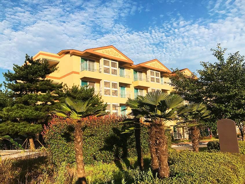 ITX 새마을호◆남도탐방 1박2일◆ 순천-순천만습지/여수-해상케이블카/장흥-우드랜드편백숲/강진-다산박물관-가우도/순천부영호텔숙박