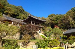 [KTX-당일]*중식제공* 천년고찰 영주부석사+소수서원/선비촌 당일여행