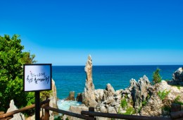 [KTX-당일]강원도② 동해 추암촛대바위+환선굴+강릉 안목커피거리