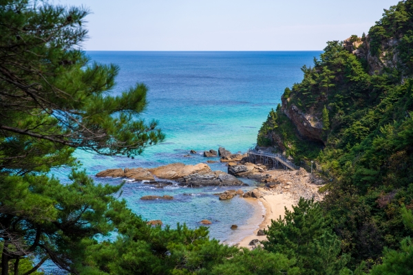 [KTX청량리/양평역출발-당일]강원도① 오대산월정사+정동심곡 바다부채길+안목커피거리