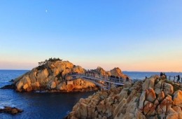 KTX 울산&부산 *거제 외도 꽉찬 1박2일(가이드동행)