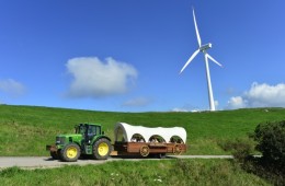 [KTX+평창관광택시①] 대관령 하늘목장+월정사 전나무숲