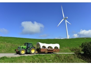 [KTX+평창관광택시①] 대관령 하늘목장+월정사 전나무숲