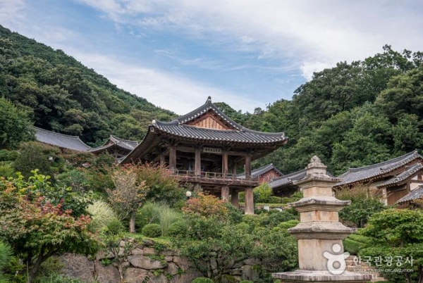 [KTX-당일]절경따라 단양 도담삼봉+잔도길+스카이워크&영주부석사