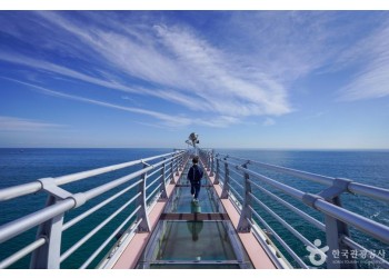 [국악와인열차/1박2일] 2월 28일~3월 1일(토~일) 울진 대게축제 ★그랜드호텔★