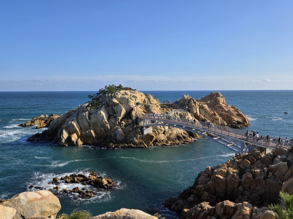 [KTX-3박]한국재발견①*신동해선*동해안 따라 강원·경주·울산·부산