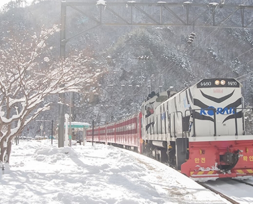 [KTX이음] 정선 만항재 눈꽃 & 백두대간 협곡열차 겨울 기차여행 (부산출발)