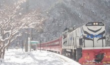 [KTX이음] 정선 만항재 눈꽃 & 백두대간 협곡열차 겨울 기차여행 (부산출발)