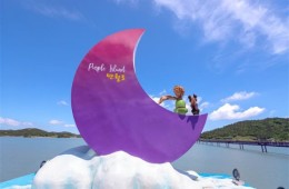 [KTX-1박]♠호텔♠남도힐링①(섬티아고/신안퍼플섬/목포유달산)