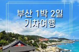 KTX서울역/광명역/오송역]- 부산 명소 탐방 & 해운대 해변열차 & 태종대 여행 (1박2일)-호텔급