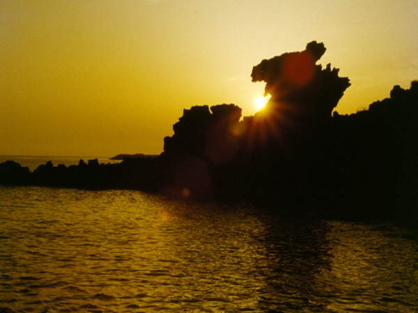 [6식제공]항공 - 제주도 가고싶다!! 노팁 * 노옵션 여행( 2박3일)