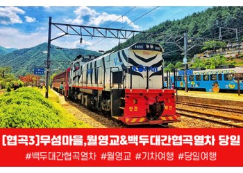 [경상권/충청권/수도권출발] 협곡3)무섬마을,월영교&백두대간협곡열차 당일