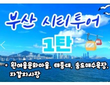[KTX-서울역/광명역/대전역] 부산시티투어(1탄) - 태종대/송도케이블카/흰여울문화마을/산만디투어/자갈치시장 여행(당일)