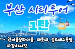[KTX-서울역/광명역/대전역] 부산시티투어(1탄) - 태종대/송도케이블카/흰여울문화마을/산만디투어/자갈치시장 여행(당일)