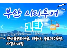 [KTX-서울역/광명역/대전역] 부산시티투어(1탄) - 태종대/송도케이블카/흰여울문화마을/산만디투어/자갈치시장 여행(당일)