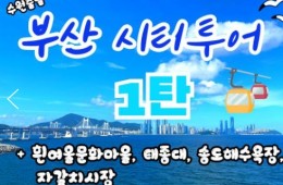 [KTX-수원역/대전]부산시티투어(1탄) - 태종대/송도케이블카/흰여울문화마을/산만디투어/자갈치시장 여행(당일)