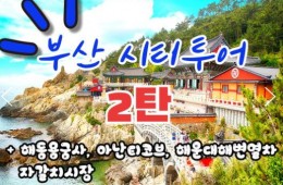[KTX-서울역/광명역/대전역]- KTX - 부산시티투어(2탄) - 해운대 해변열차 & 용궁사 & 자갈치시장 여행(당일)