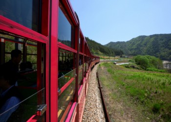 백두대간 협곡열차 & 환상선(승부*분천) & 묵호항 & 추암 여행(당일)