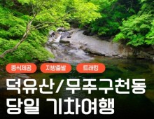 KTX - 덕유산 향적봉 & 관광곤도라 & 무주구천동계곡 여행(당일)