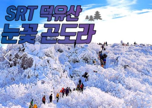 SRT - 덕유산 향적봉(정상) & 관광곤도라 & 무주구천동계곡 여행(당일)