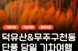 [수서역 출발] KTX - 덕유산 향적봉(정상) & 관광곤도라 & 무주구천동계곡 여행(당일)