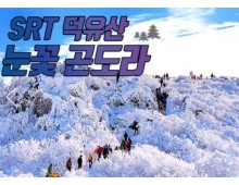 SRT - 덕유산 향적봉(정상) & 관광곤도라 & 무주구천동계곡 여행(당일)