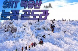 SRT - 덕유산 향적봉(정상) & 관광곤도라 & 무주구천동계곡 여행(당일)