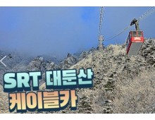 SRT - 대둔산 구름다리 눈꽃 & 케이블카 설경 & 뿌리공원 & 하늘물빛정원 여행(당일)