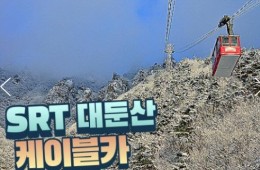 SRT - 대둔산 구름다리 눈꽃 & 케이블카 설경 & 뿌리공원 & 하늘물빛정원 여행(당일)