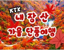 KTX - 가을여행의 1번지!! 내장산(내장사)가을단풍 여행 (당일)- 7:43
