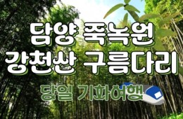 (수원출발)새마을호 - 담양 시티투어 여행(당일)-담양죽녹원/강천산구름다리/메타세콰이어