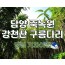 SRT - 강천산 구름다리 단풍 & 담양죽녹원 & 메타세콰이어 여행(당일)